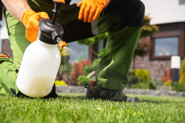  Lexington, MI Pest Control Pros