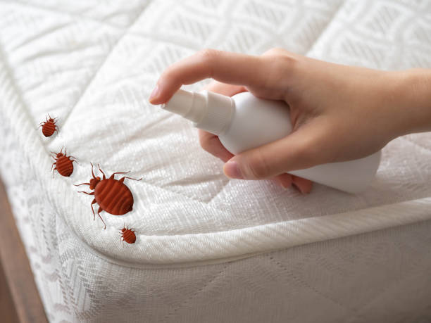 Best Mosquito Control Services  in Lexington, MI
