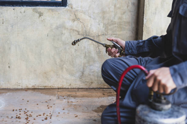 Best Best Pest Control Companies  in Lexington, MI