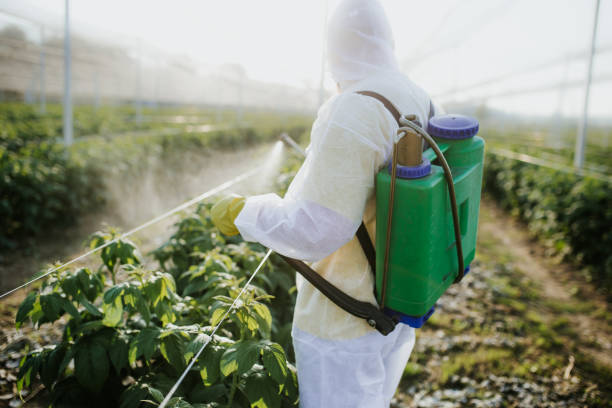 Best Insect Control  in Lexington, MI